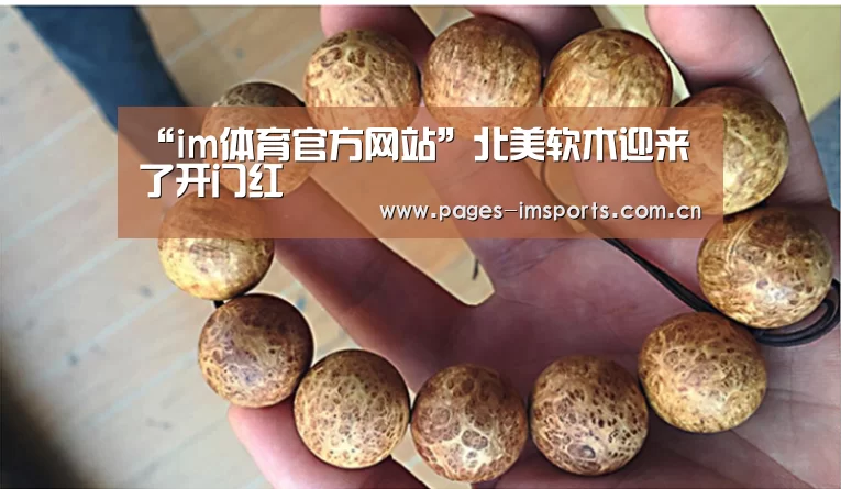 im体育官方网站