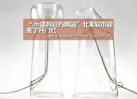 im体育投注