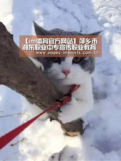 【im体育官方网站】萍乡市湘东职业中专宣传职业教育出新招(图1) im体育