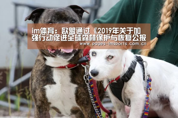 im体育:欧盟通过《2019年关于加强行动促进全球森林保护与恢复公报》(图1) im体育